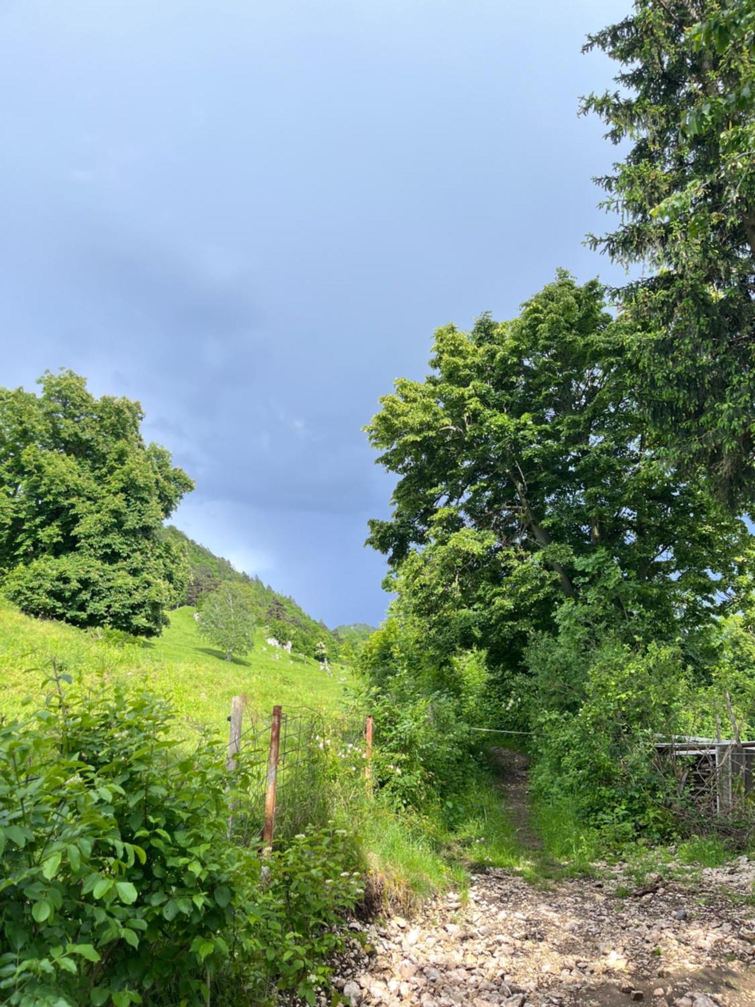 Cottage Жировниця Екстер'єр фото