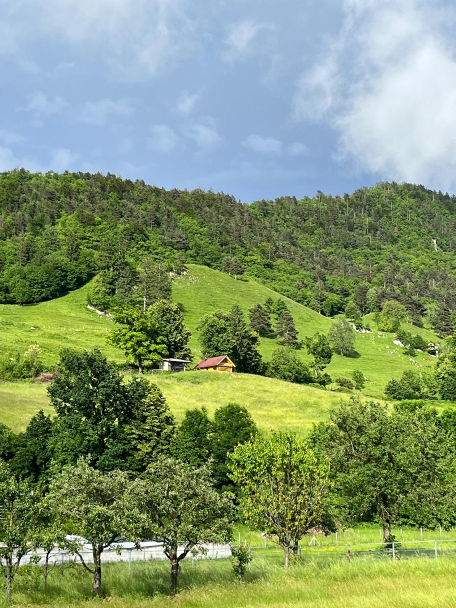 Cottage Жировниця Екстер'єр фото