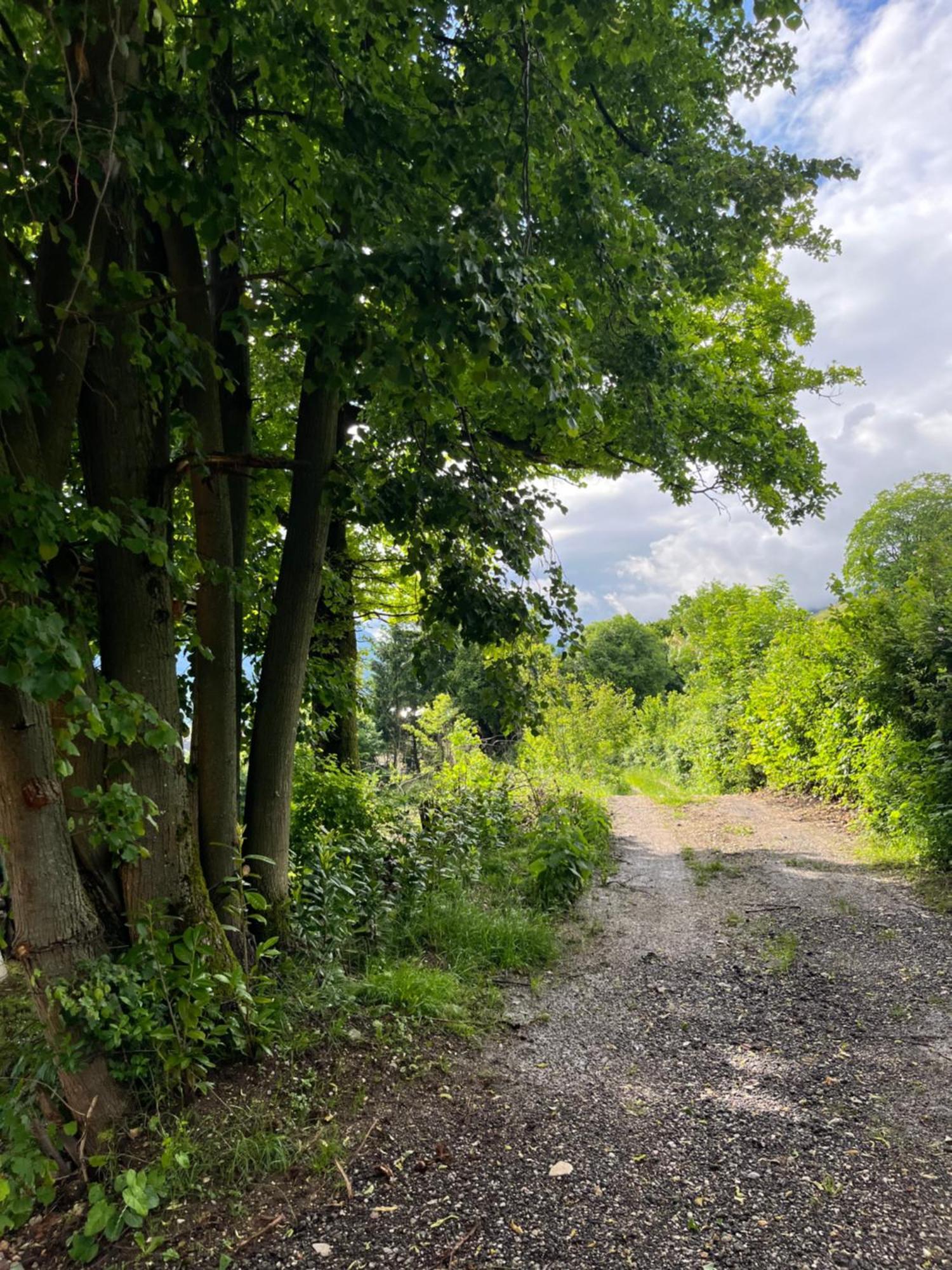Cottage Жировниця Екстер'єр фото