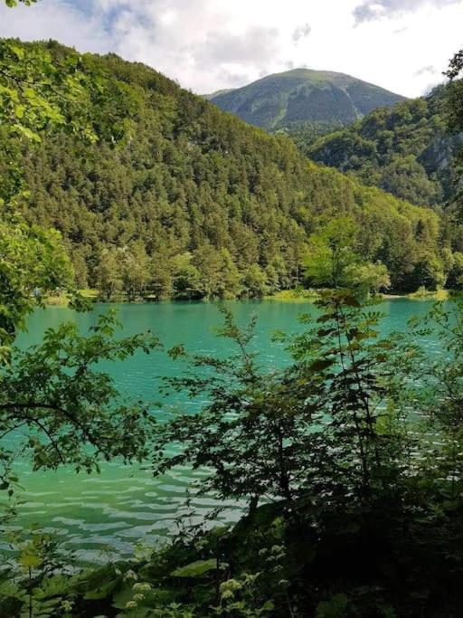 Cottage Жировниця Екстер'єр фото