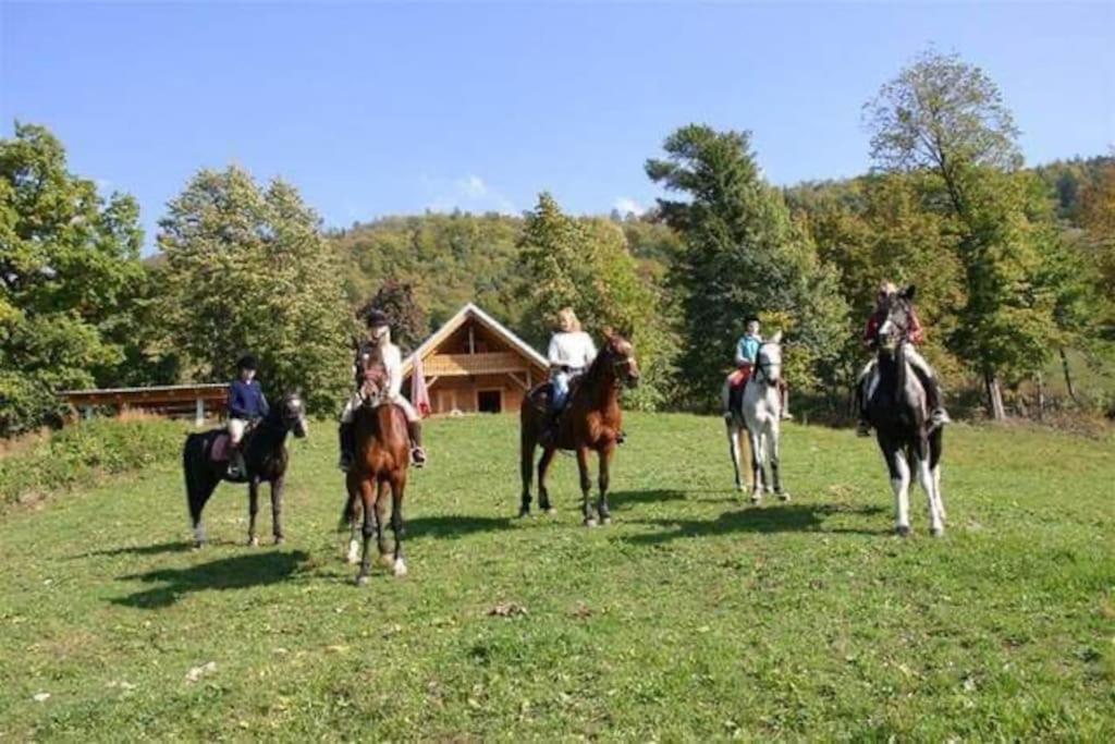 Cottage Жировниця Екстер'єр фото